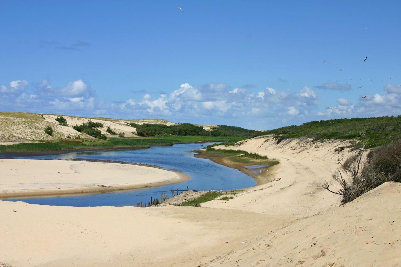 L'Appart Vue Golf Piscines Nature Ocean A Moliets Lejlighed Eksteriør billede